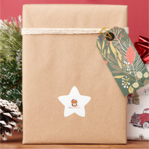 Adesito Estrela Red Panda Christmas Snow Winter Animals Pandas