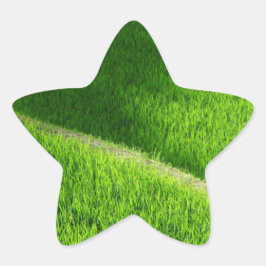 Adesito Estrela Rice Terraces Yamada's Rice Fields Japão