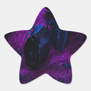 Adesito Estrela Rosa de Material Negro Spooky, Aranhas Negras
