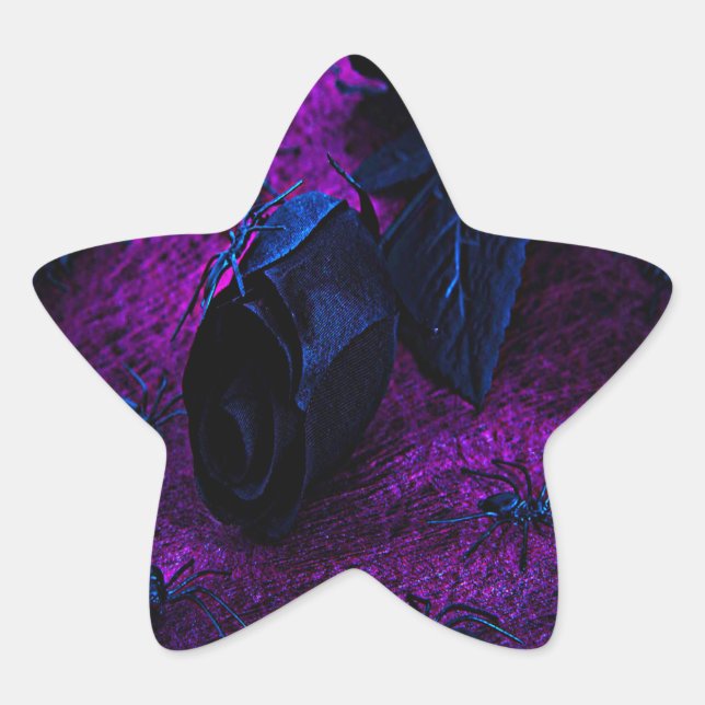 Adesito Estrela Rosa de Material Negro Spooky, Aranhas Negras (Frente)