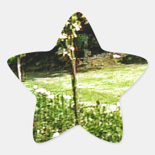 Adesito Estrela Rosa de Stratford-on-Avon Garden snap-29602 jGibne