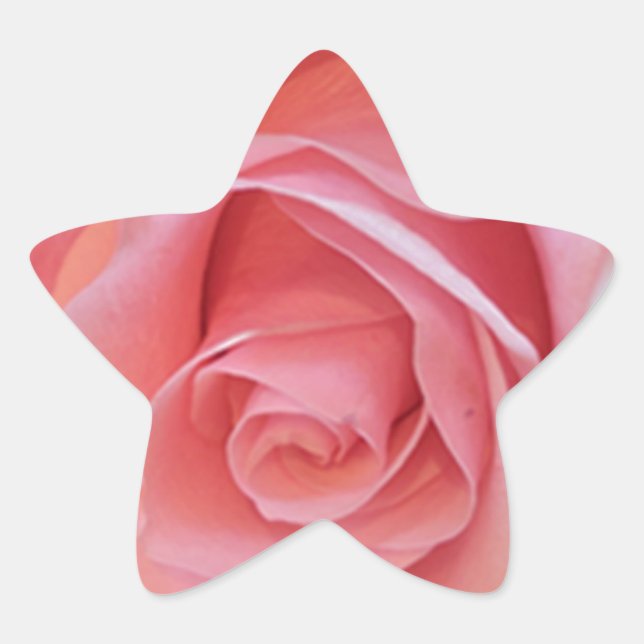 Adesito Estrela Rosa Rosa Rosa (Frente)