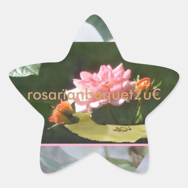 Adesito Estrela rosaranboquet2u (Frente)