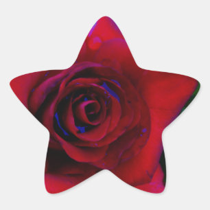 Adesito Estrela Rosas vermelhas com tons azuis