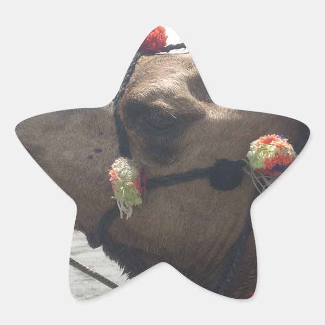 Adesito Estrela Roxo Africano e Caleidoscópio Amarelo Tradicional (Frente)