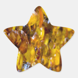 Adesito Estrela Rua. Thomas 2