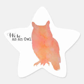 Adesito Estrela Sábio como uma Aquarela Tipográfica de Coruja