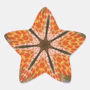 Adesito Estrela Savanna Star Bloom - Um Bold Animal Print