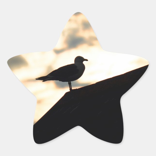Adesito Estrela Sea Gull Sunset (Frente)