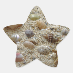 Adesito Estrela Seashells na areia