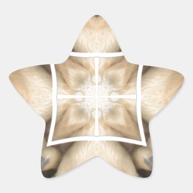 Adesito Estrela Serengeti Splendor: Oculto de Animais Vibrantes (Frente)