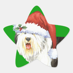 Adesito Estrela Sheepdog inglês velho feliz de Howlidays