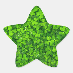 Adesito Estrela Símbolo irlandês verde Ireland dos trevos do tre