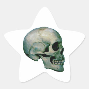 Adesito Estrela Skull a partir do perfil