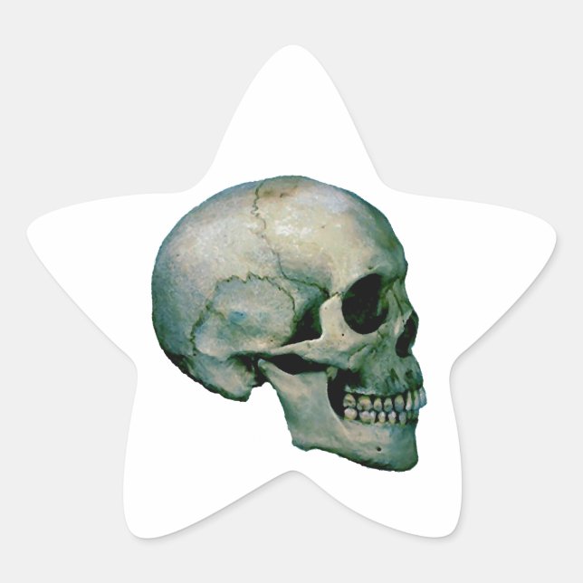 Adesito Estrela Skull a partir do perfil (Frente)