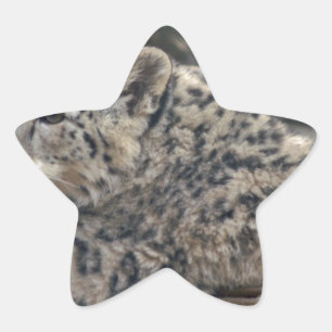 Adesito Estrela Snow Lepard
