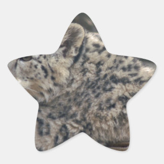 Adesito Estrela Snow Lepard