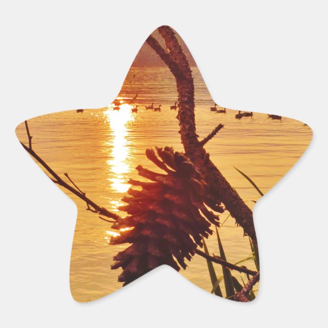 Adesito Estrela Sol do Lago Pinecone (Frente)