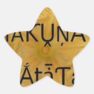 Adesito Estrela Sou uma estrela dentro.
