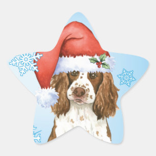 Adesito Estrela Spaniel feliz de Howliday Springer inglês