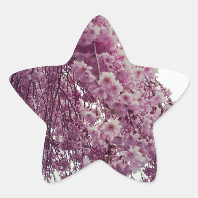 Adesito Estrela Springtime (Frente)