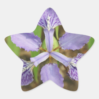 Adesito Estrela Star Iris Stickers