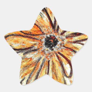 Adesito Estrela Star Stickers Gerbera