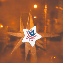 Stars Stripes Art