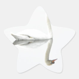 Adesito Estrela Swan