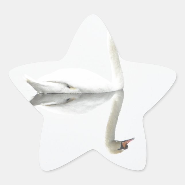 Adesito Estrela Swan (Frente)