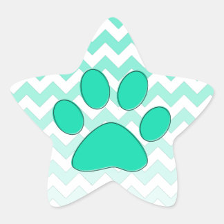 Adesito Estrela Teal Chevron Paw Zig Zag Monograma