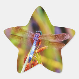 Adesito Estrela Teal Dragonfly na borda