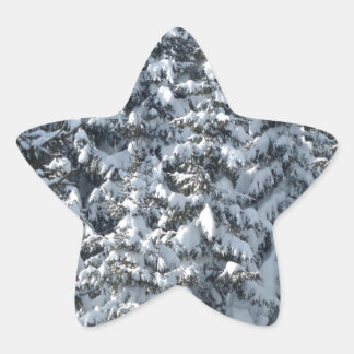 Adesito Estrela Textura de árvore de abertura de neve