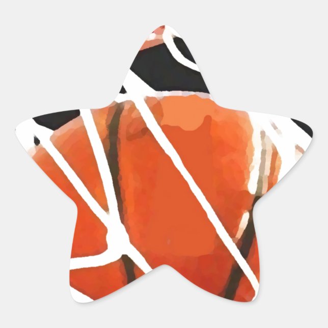 Adesito Estrela Trabalho de arte de basquetebol (Frente)