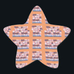 Adesito Estrela Trabalho de arte único e elegante com padrão cardí<br><div class="desc">Trabalho de arte único e elegante para todas as idades com padrões cardíacos Adiciona um toque de amor à sua coleção de artigos de papelaria com este Design com verificação de corações sentimentais. Seja um notebook, um cartão de saudação, ou adesivo, este design traz uma estética romântica e na moda...</div>