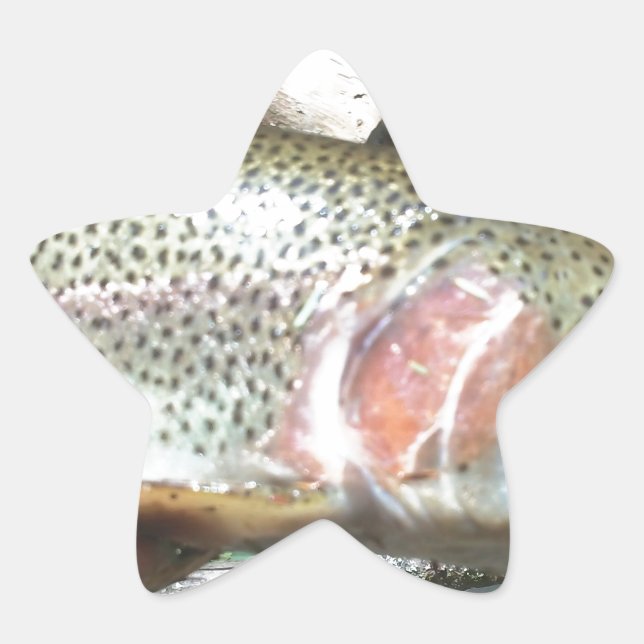 Adesito Estrela Truta arco-íris (Frente)