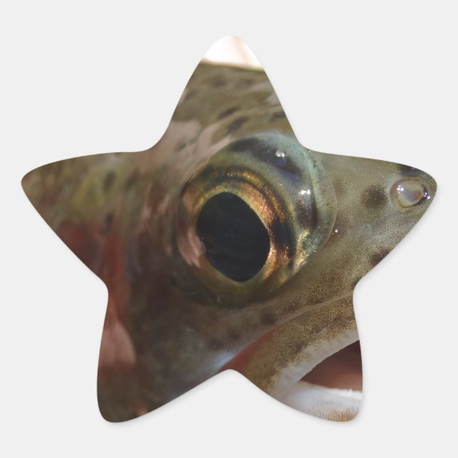 Adesito Estrela Truta nas Mãos (Frente)