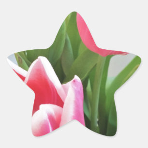 Adesito Estrela Tulipas cor-de-rosa, buquê floral do primavera,
