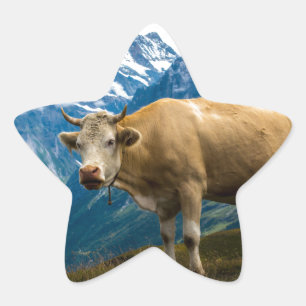 Adesito Estrela Vaca Grindelwald - Alpes Berneses - Suiça