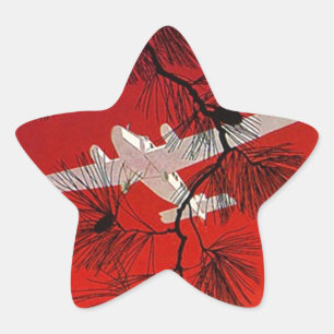 Adesito Estrela Vermelho plano do FW do suporte do avião das