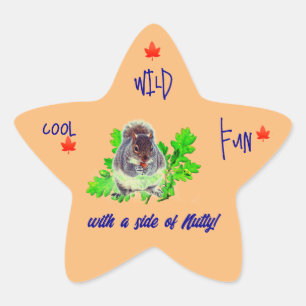 Adesito Estrela Vinheta de diversão selvagem legal