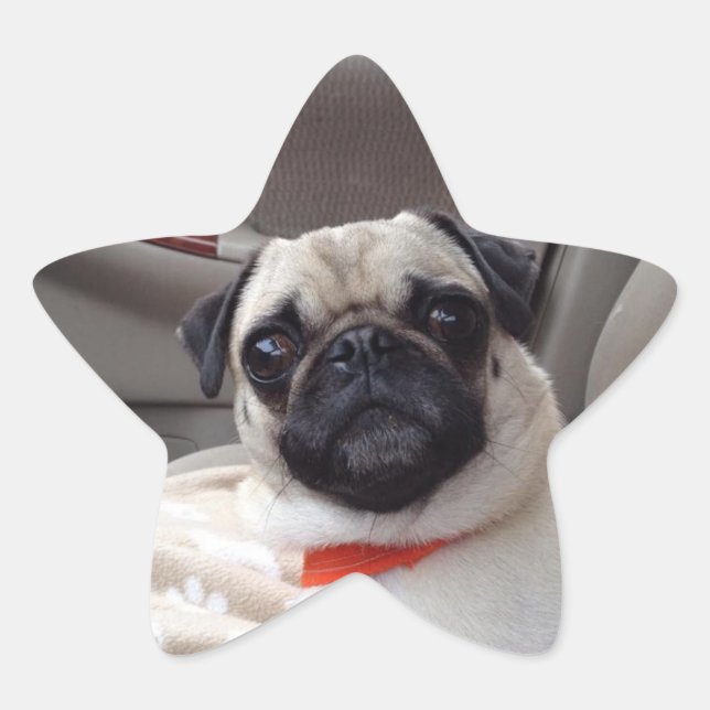 Adesito Estrela Vinhetas (Frente)