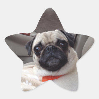 Adesito Estrela Vinhetas