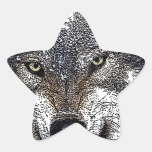 Adesito Estrela Wild Wolf