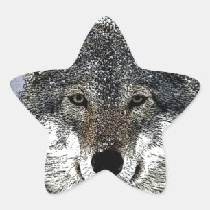 Adesito Estrela Wolf Eyes