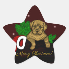Adesito Estrela XMas puppy