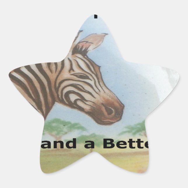 Adesito Estrela Zebra Portrait, Amboseli: O Espírito do Savann (Frente)