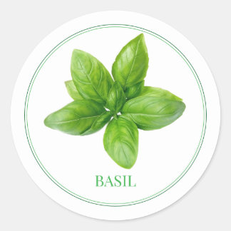 Adesivo