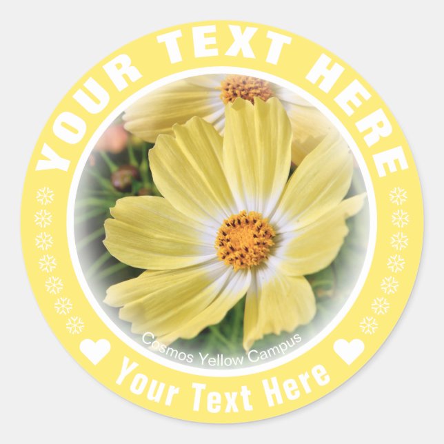 ADESIVO コスモス (Frente)