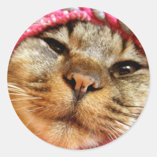 ADESIVO ピンク帽子のチャド